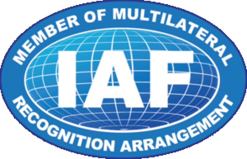 IAF LOGO